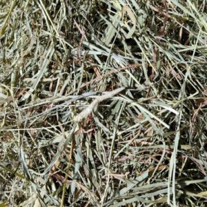 foin de fléole timothy hay de la ferme de la Jansounié
