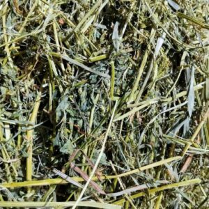 foin de luzerne vert spécial junior pour jeunes lapins de la ferme de la Jansounié